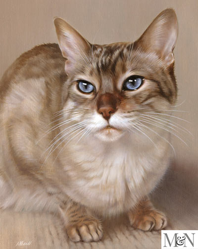 cat oil painting