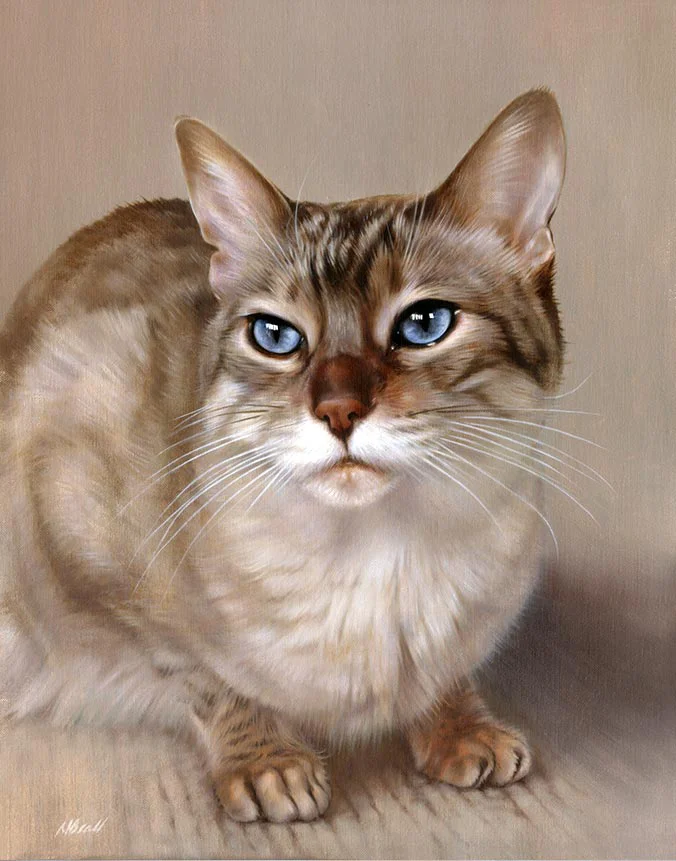 Tia: Custom oil painting by professional cat portrait artist Nicholas Beall Stunning oil portrait of Tia the cat on canvas by Nicholas Beall