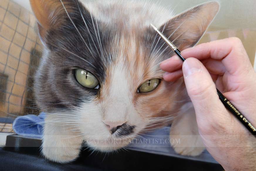 Cat Oils Portraits by Nicholas Beall