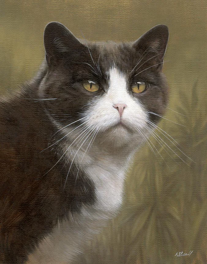 Purdy: Custom cat portrait in oils by Nicholas Beall Oil portrait of Purdy, a hand-painted cat artwork by Nicholas Beall