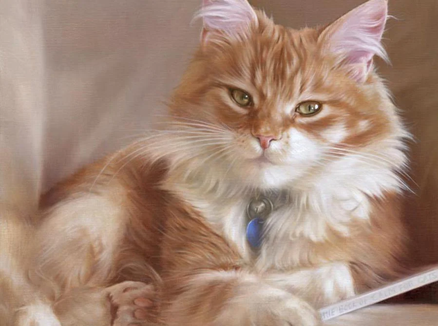 Dudley: Bespoke cat portrait in oils by Nicholas Beall Realistic oil painting of Dudley the cat by Nicholas Beall