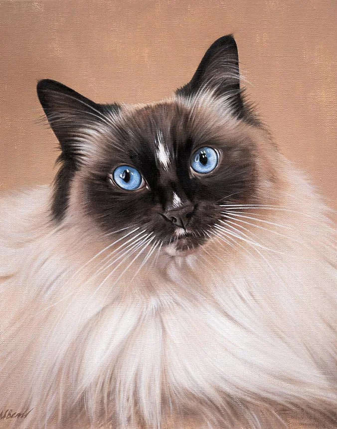Saffie: Hand-painted oil cat portrait by Nicholas Beall Custom oil portrait of Saffie the cat by Nicholas Beall