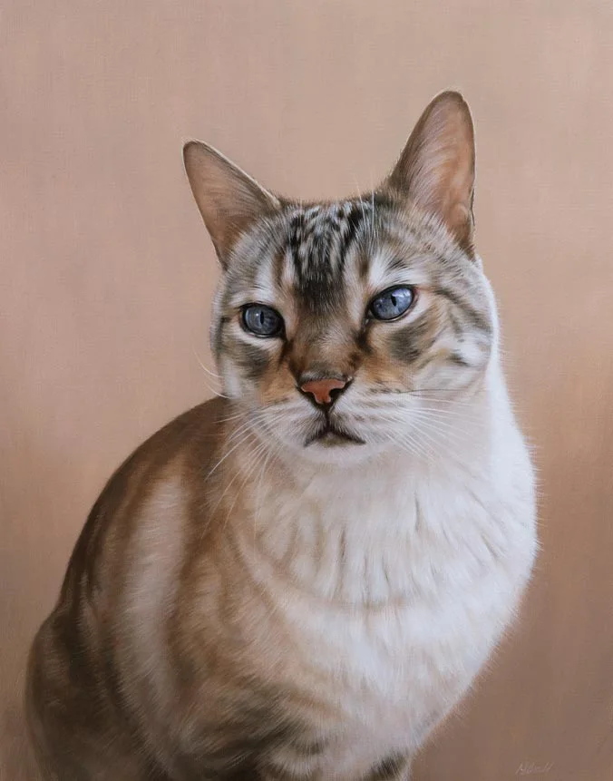 Bailey: Oil portrait of the cat, painted by artist Nicholas Beall Bespoke oil painting of Bailey the cat by Nicholas Beall
