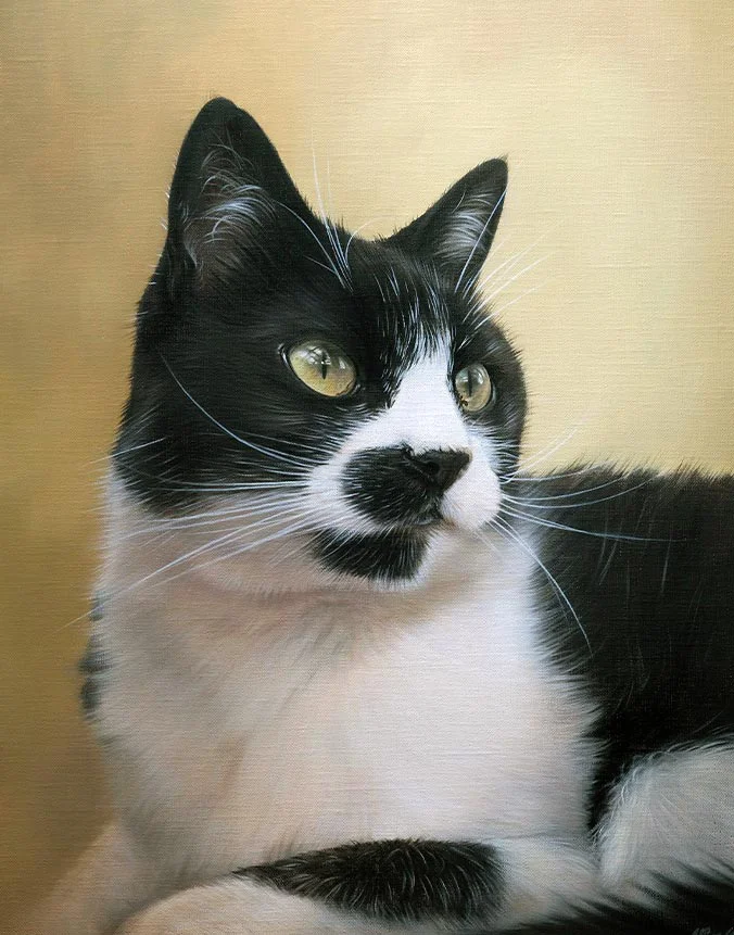 Tiddles: Cat oil portrait painted by artist Nicholas Beall Traditional oil painting of Tiddles the cat by Nicholas Beall