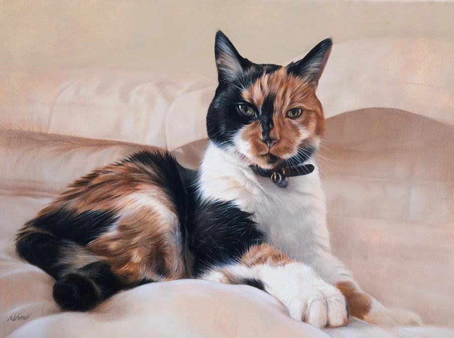 Shelly: Oil cat portrait by professional artist Nicholas Beall Custom oil painting of Shelly the cat by Nicholas Beall