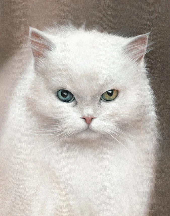 Sophie: Commissioned oil painting of the cat by Nicholas Beall Hand-painted oil portrait of Sophie the white cat on canvas by Nicholas Beall