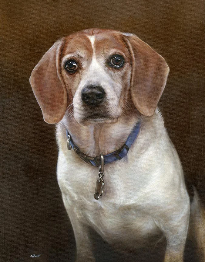 Christopher: Beagle dog oil painting by Nicholas Beall Oil painting of Christopher, a Beagle dog, by Nicholas Beall