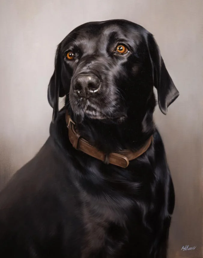 Brhyer: Black Labrador dog oil painting by Nicholas Beall Oil painting of Brhyer, a black Labrador dog, by Nicholas Beall
