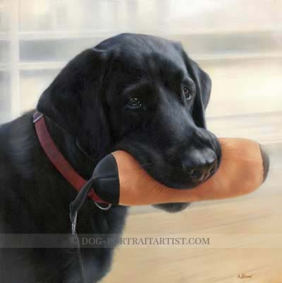 black labrador oil paitings