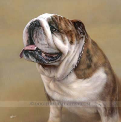 bull dog pet portraits