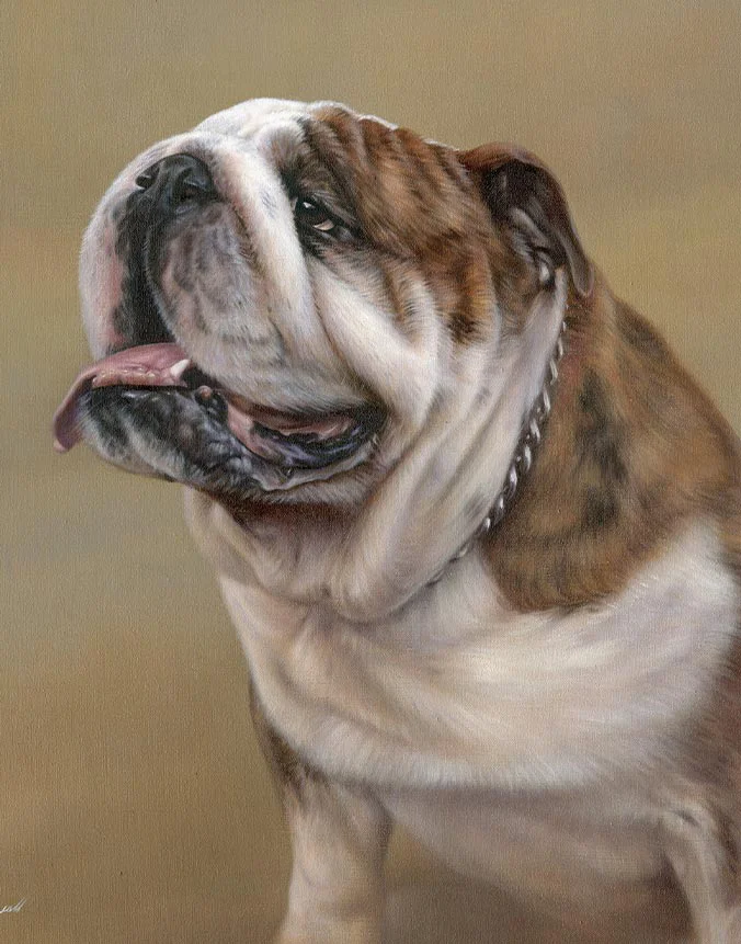 Remi: Bulldog dog oil painting by Nicholas Beall Oil painting of Remi the Bulldog dog by Nicholas Beall