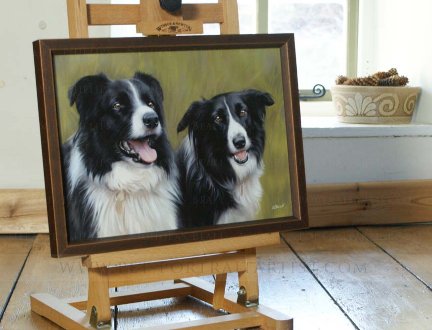 Collie Portraits Framed on the Mini Easel