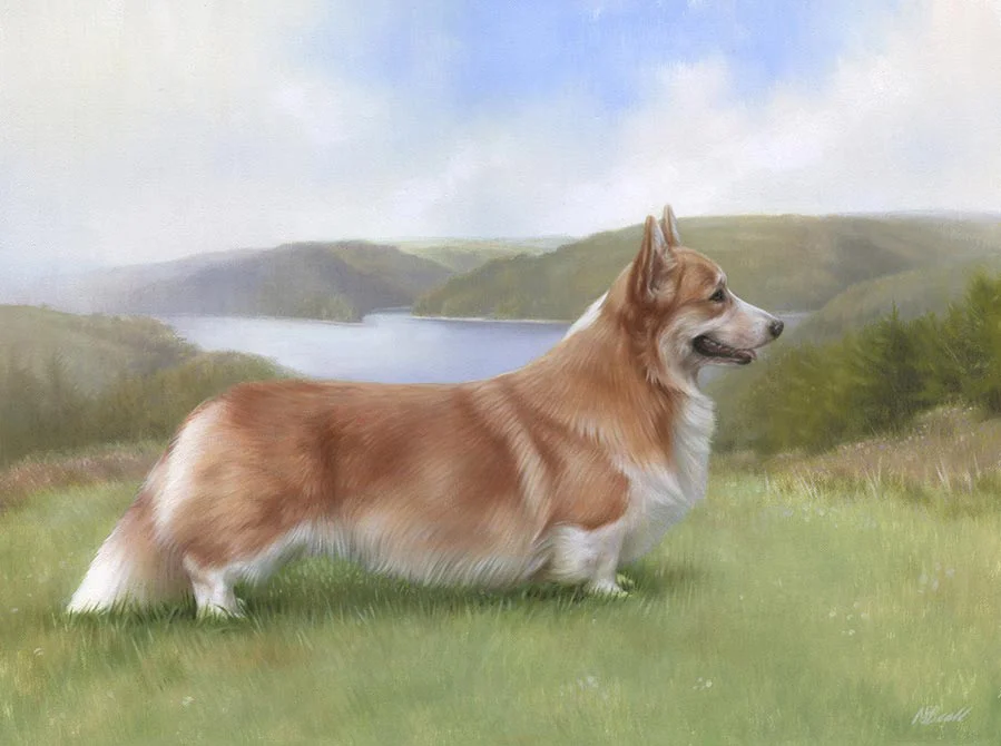 Luke: Corgi dog oil painting by Nicholas Beall Oil painting of Luke the Corgi dog by Nicholas Beall