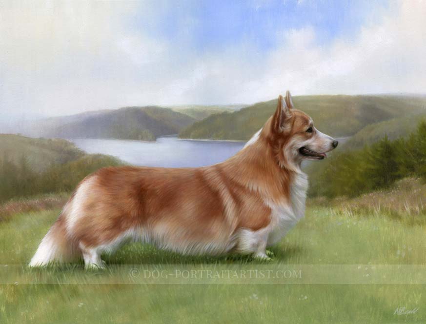 Corgi Pet Portraits