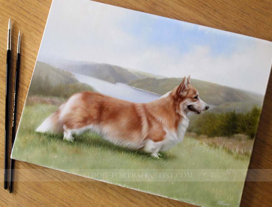 Corgi Pet Portraits