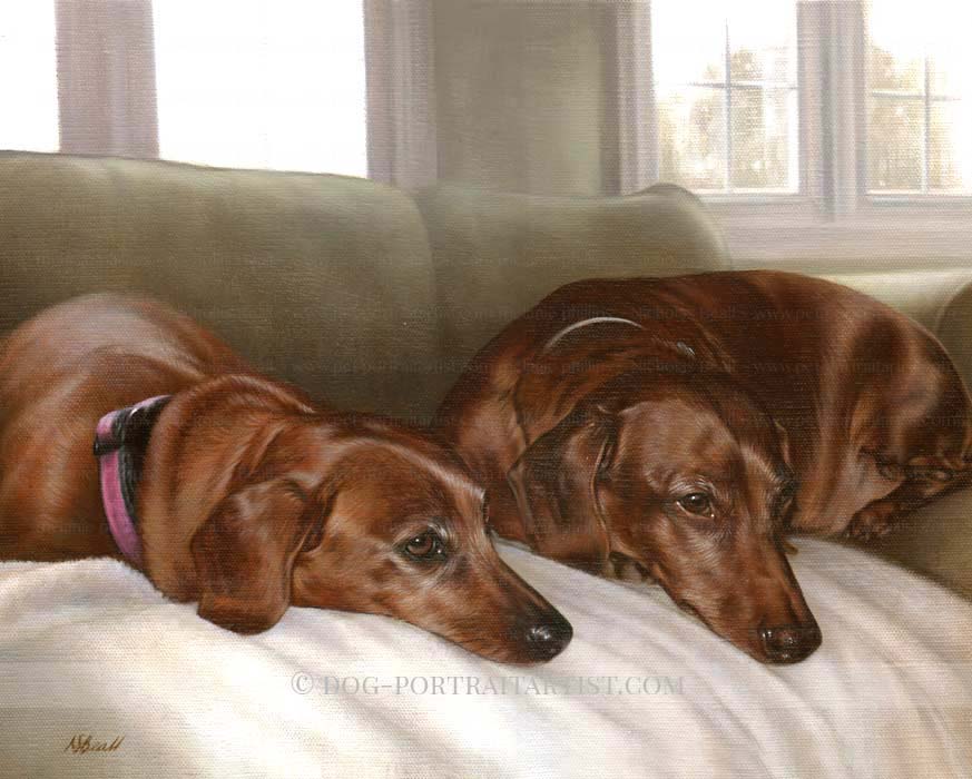 Dachshund Pet Portraits by Nicholas Beall