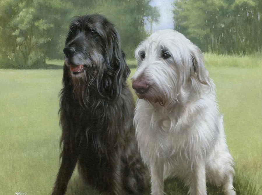 Oscar & Harry: Dog oil painting by Nicholas Beall Oil painting of Oscar and Harry, two dogs, by Nicholas Beall