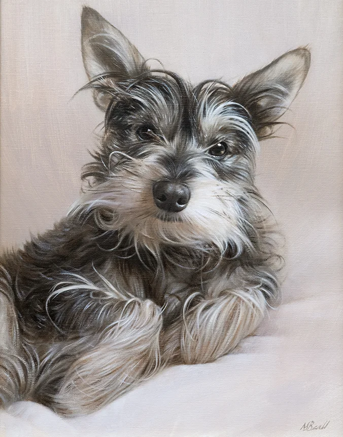 Chucho: Dog oil painting by Nicholas Beall Oil painting of Chucho the dog by Nicholas Beall
