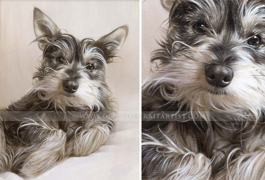 Dog Pet Portraits by Nicholas Beall