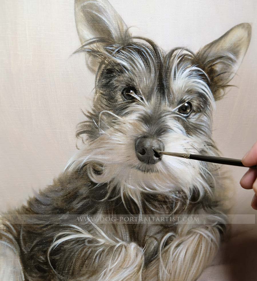 Dog Pet Portraits