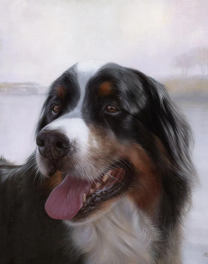 Yogi: Bernese Mountain Dog oil painting by Nicholas Beall Oil painting of Yogi, a Bernese Mountain Dog, by Nicholas Beall