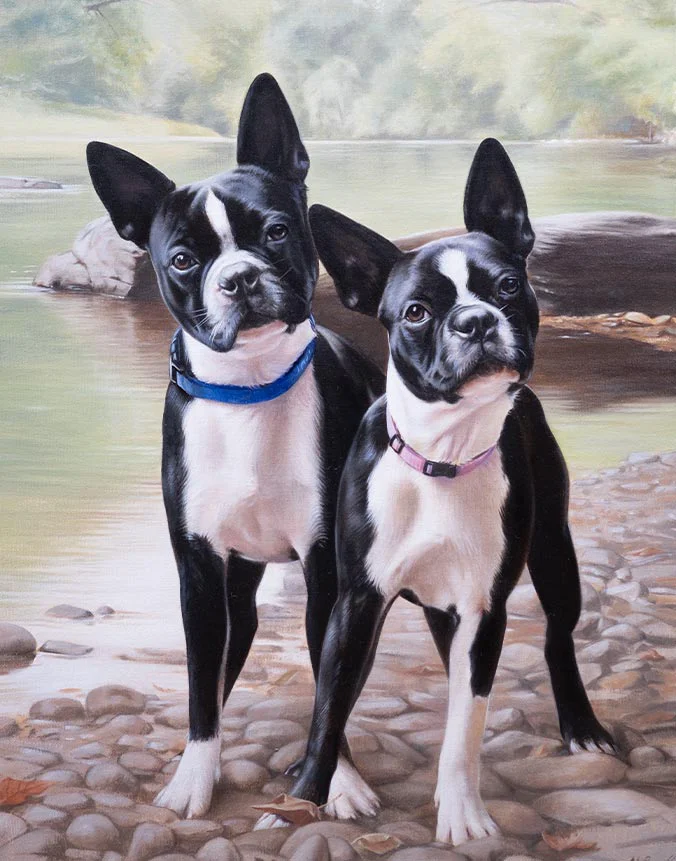 Hudson & Hannah: Boston Terrier oil portrait by Nicholas Beall Oil portrait of Boston Terriers Hudson and Hannah by Nicholas Beall