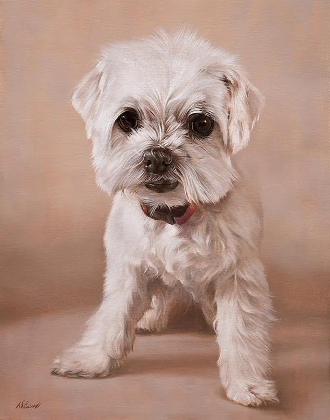 Paddy: Oil painting of the dog by Nicholas Beall Oil painting of Paddy the dog by Nicholas Beall