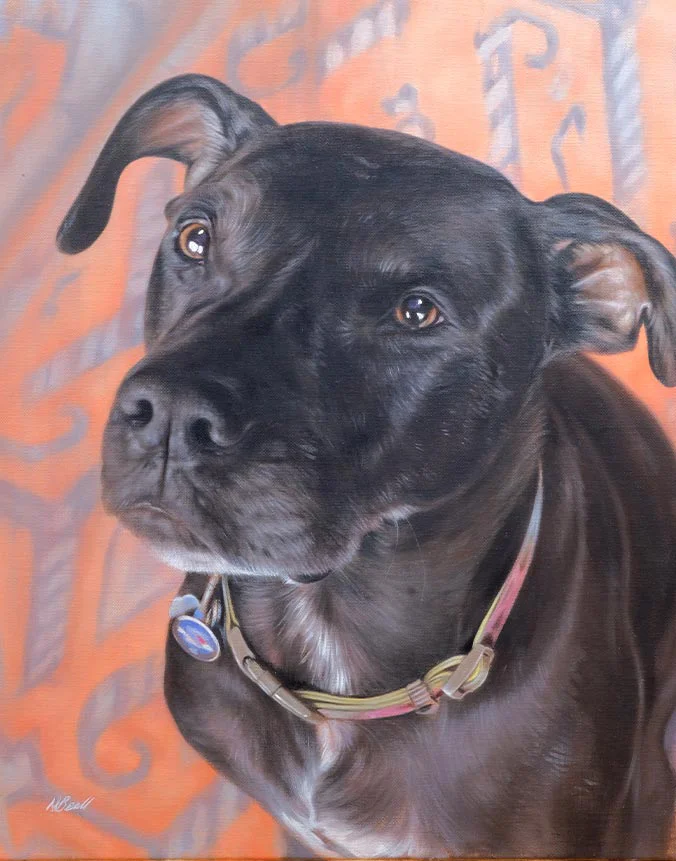 Wallace: Oil portrait of a rescue dog by Nicholas Beall Oil portrait of Wallace the rescue dog, a wedding gift by Nicholas Beall