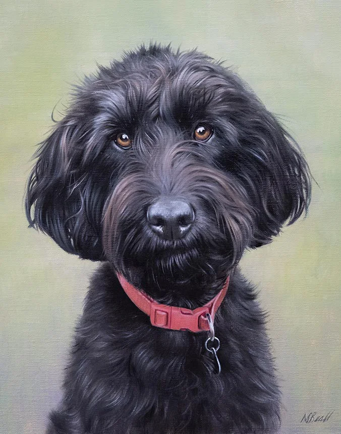 Luna: Oil portrait of a Labradoodle by Nicholas Beall Oil portrait of Luna the Labradoodle by Nicholas Beall