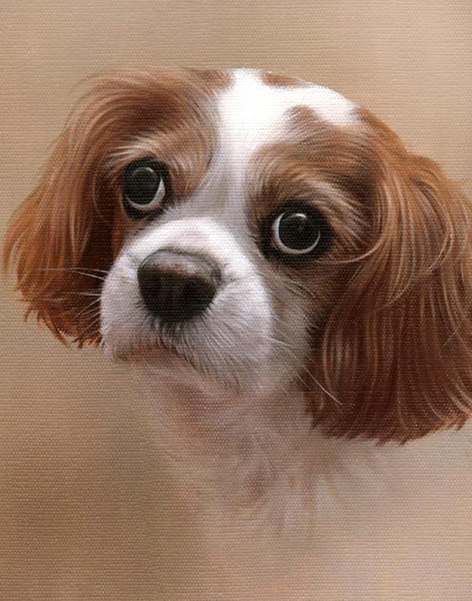 Lucky: Oil portrait of the dog by Nicholas Beall Oil portrait of Lucky the dog, a custom painting by Nicholas Beall