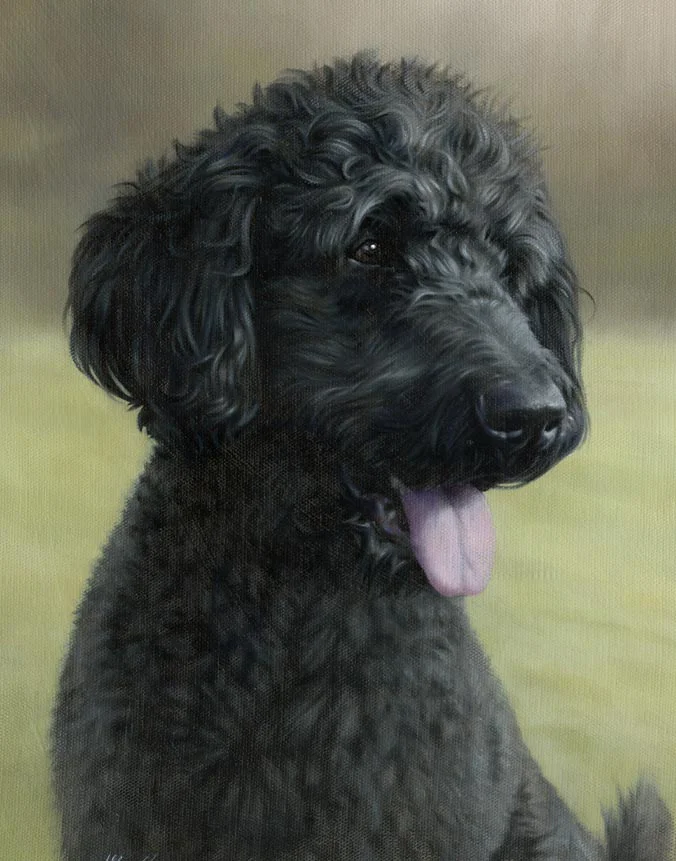 Georgie: Oil portrait of the dog by Nicholas Beall Oil portrait of Georgie the dog by Nicholas Beall
