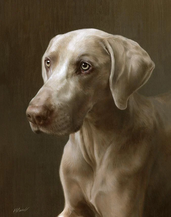 Ramses: Oil portrait of the Weimaraner by Nicholas Beall Oil portrait of Ramses the Weimaraner by Nicholas Beall, capturing his noble stance