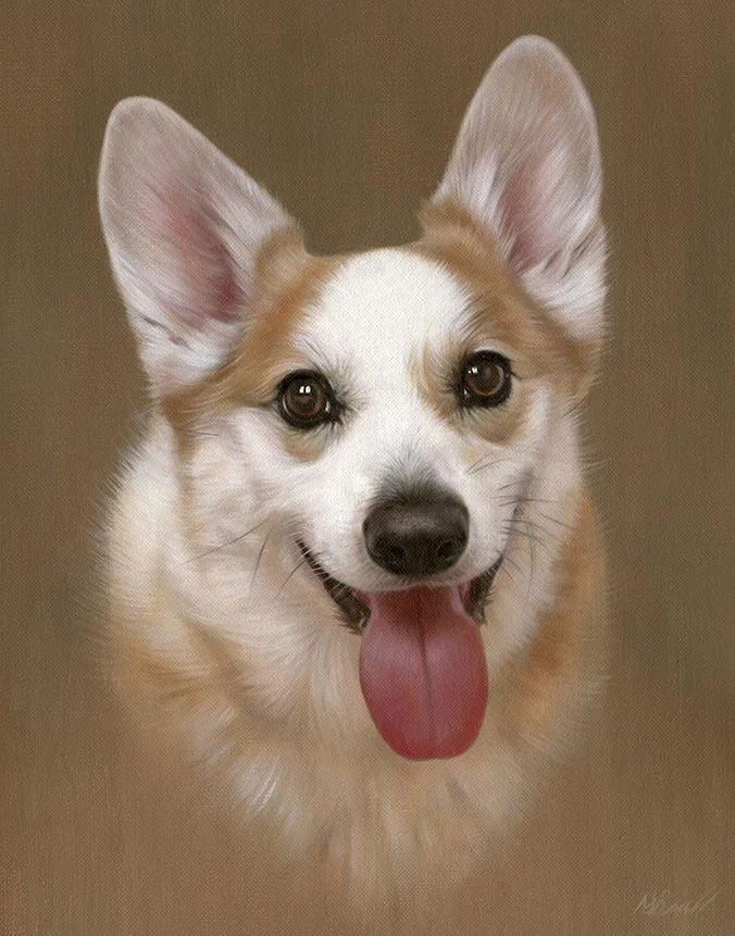 Thomas: Oil portrait of the Corgi by Nicholas Beall Oil portrait of Thomas the Corgi by Nicholas Beall