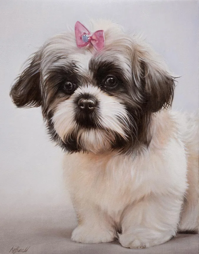Molly: Oil portrait of the dog by Nicholas Beall Oil portrait of Molly the dog by Nicholas Beall, a Christmas gift