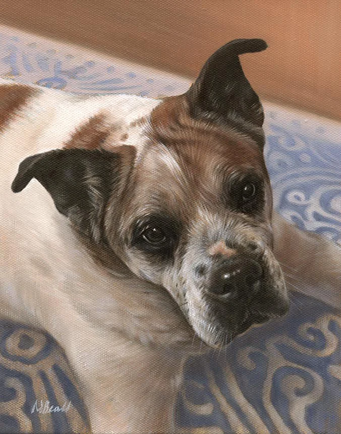 Mr Bones: Oil portrait of the dog by Nicholas Beall Oil portrait of Mr Bones the dog by Nicholas Beall