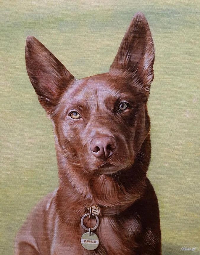 Marshall: City working dog oil painting from Australia by Nicholas Beall Oil painting of Marshall, a city working dog from Australia, by Nicholas Beall