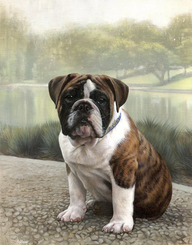Otis: English Bulldog dog oil painting by Nicholas Beall Oil painting of Otis, an English Bulldog dog, by Nicholas Beall