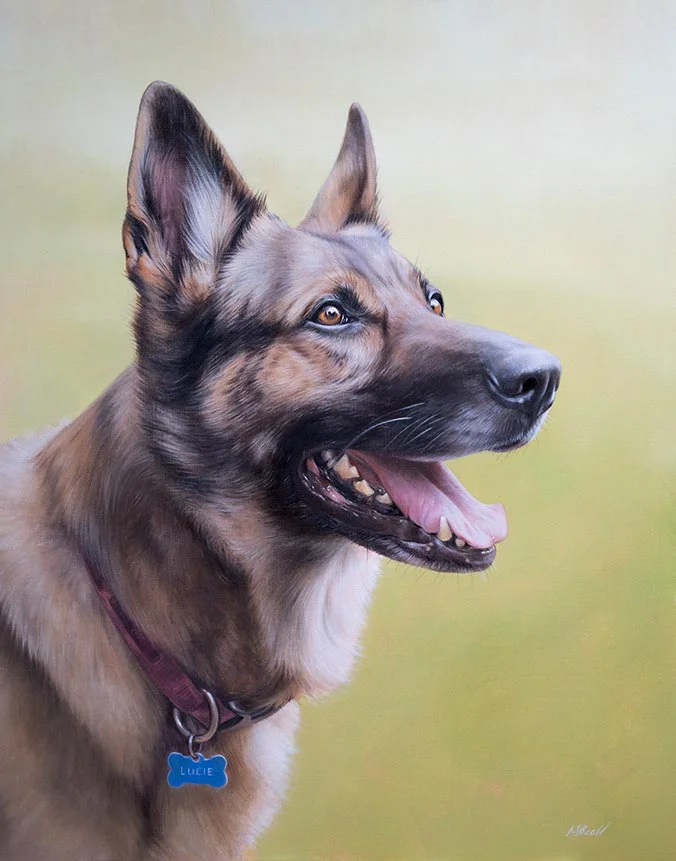 Lucie: German Shepherd dog oil painting by Nicholas Beall Oil painting of Lucie, a German Shepherd dog, by Nicholas Beall
