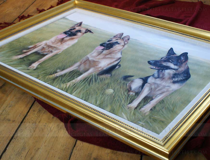 german sheperd pet portraits framed