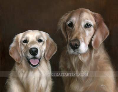 Golden Retriever Pet Portraits