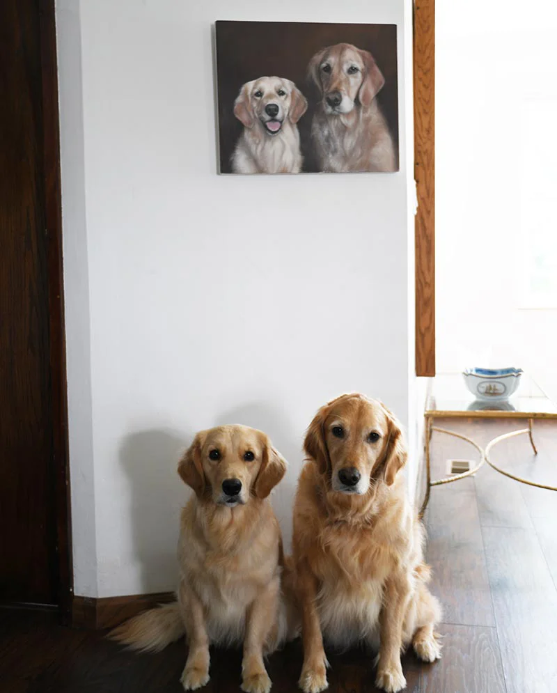 Framed Golden Retriever painting in an interior setting, showing the finished look.