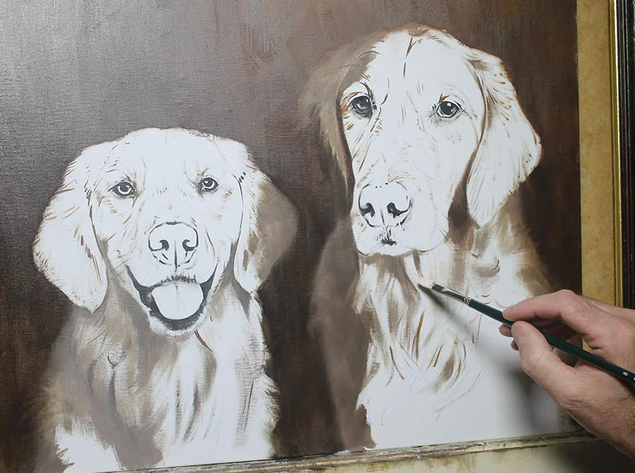 Golden Retriever portrait showing an early painting stage with initial colors and forms.