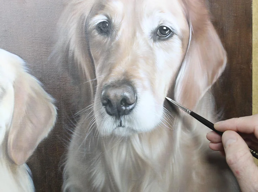 Two Golden Retrievers in oils, showing a progress shot with increasing detail.