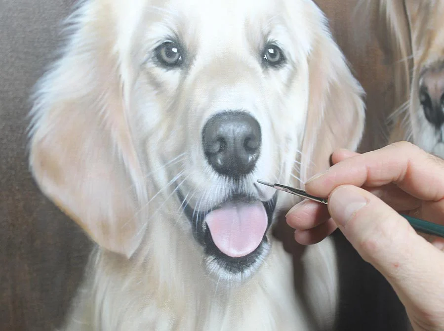 Golden Retriever portrait showing final layers and completion before framing.