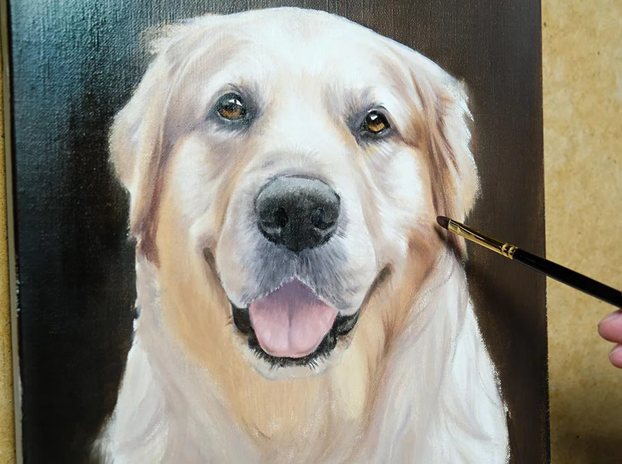 Golden Retriever head study in oils, showcasing early layers and forms.