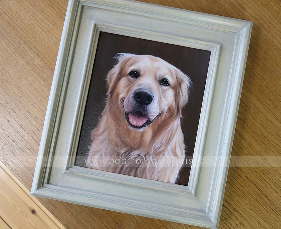 Golden Retriever Portrait