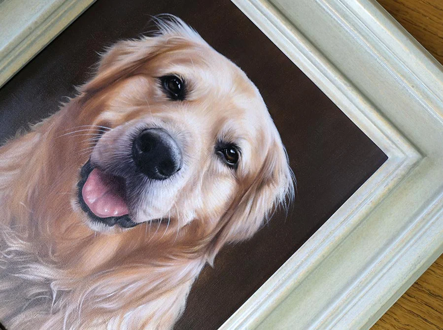 Framed Golden Retriever head study of H, presented clearly.