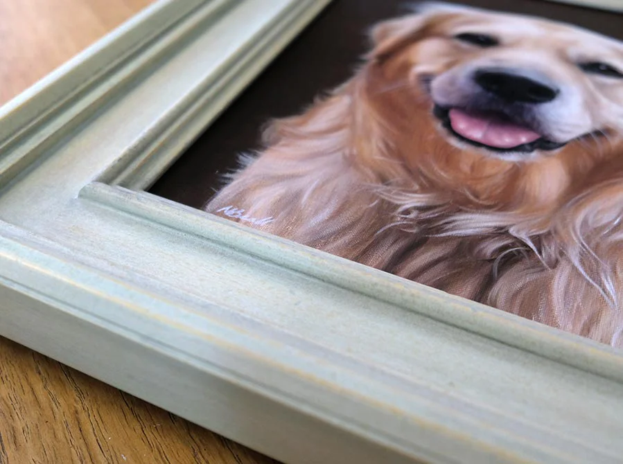 Golden Retriever portrait of H in its frame, shown in a display view.