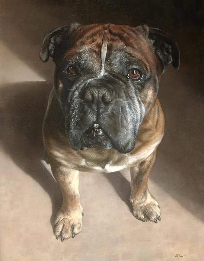 Boomer: Dog oil painting by Nicholas Beall Oil painting of Boomer the dog by Nicholas Beall