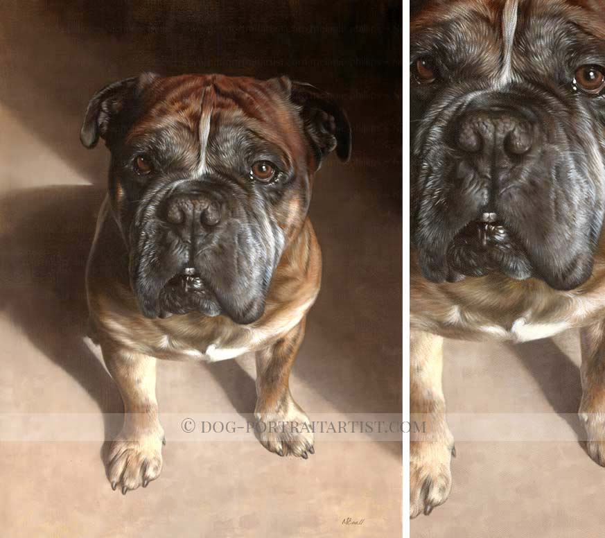 Oil Pet Portraits by Nicholas Beall